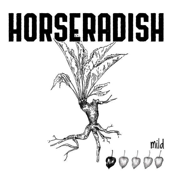 Horseradish Pretzels
