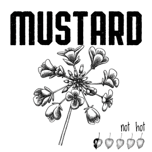 Mustard Seasoning